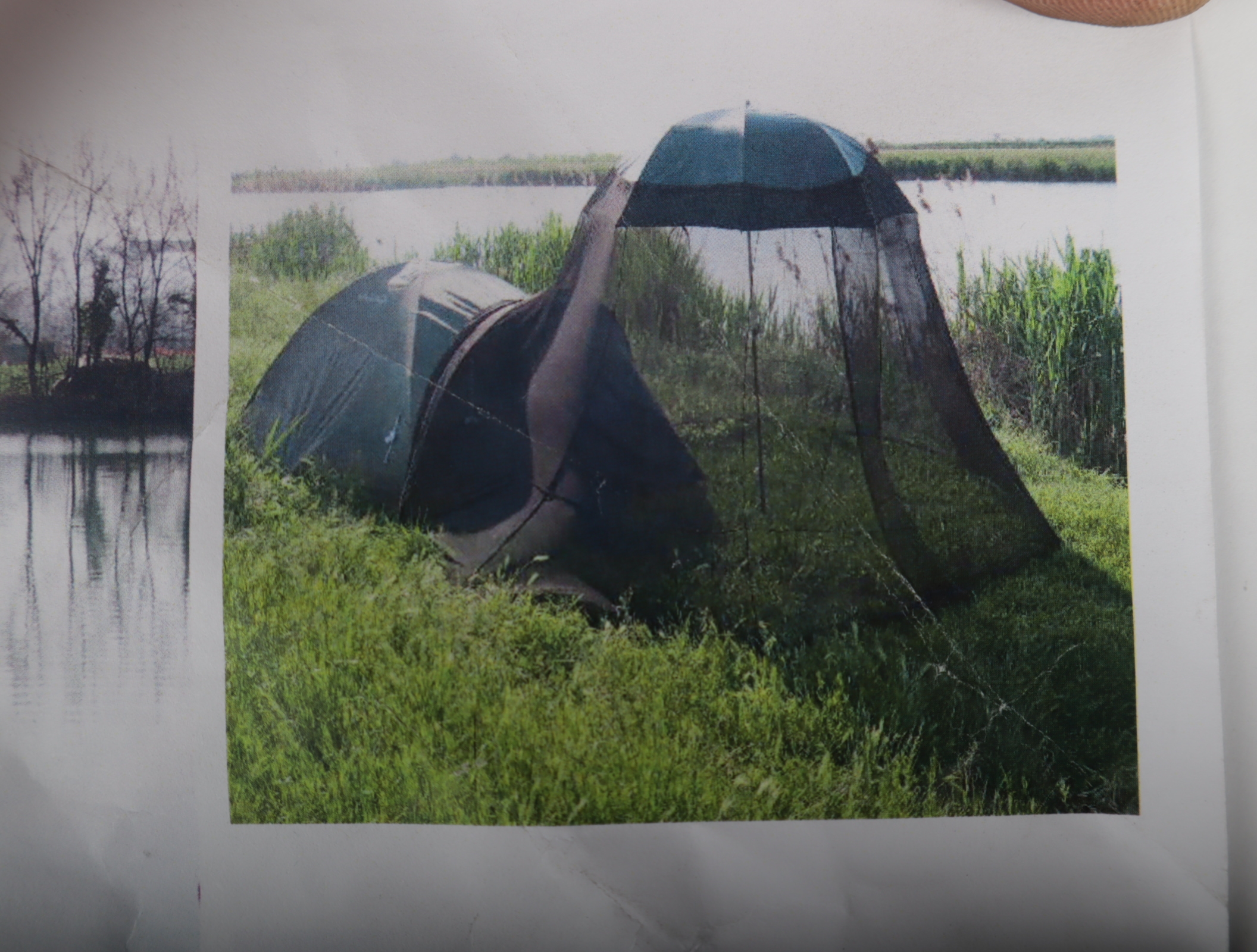 Tenda in rete zanzariera protettiva