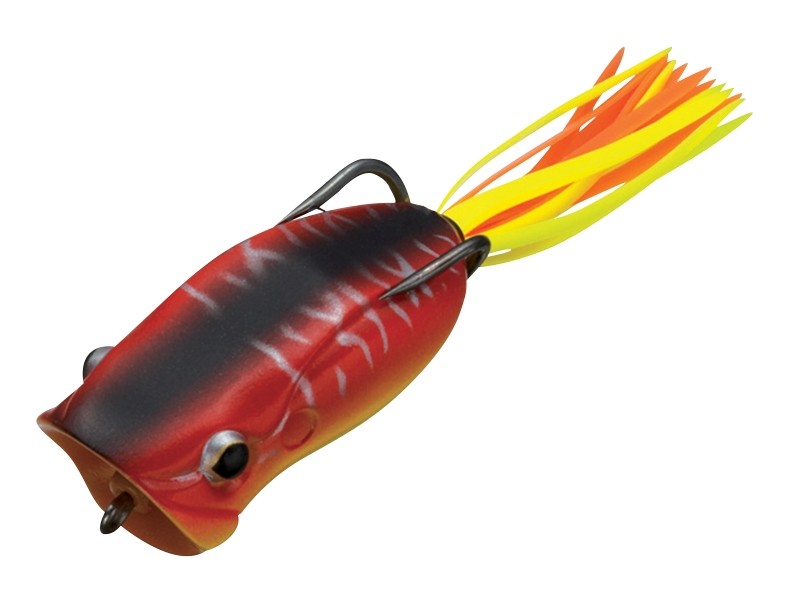 Rana Evergreen Popper frog col. 42 Redtiger Rana Evergreen Popper frog col. 42 Redtiger