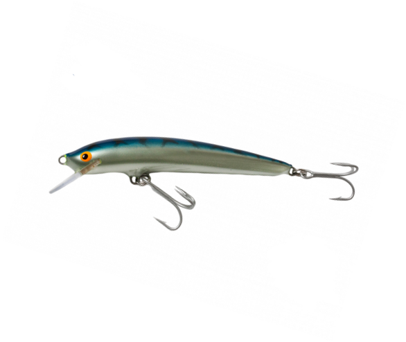 Minnow Nils Master Invincible Floating 8 cm 8 g col. 075