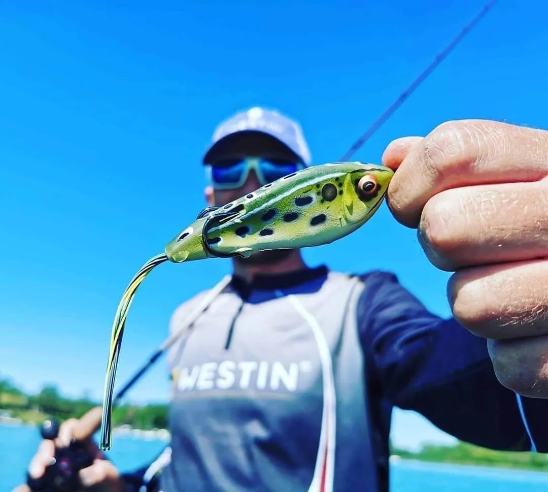 Hybridbait Westin Swim Hollowbody 9cm 17g F