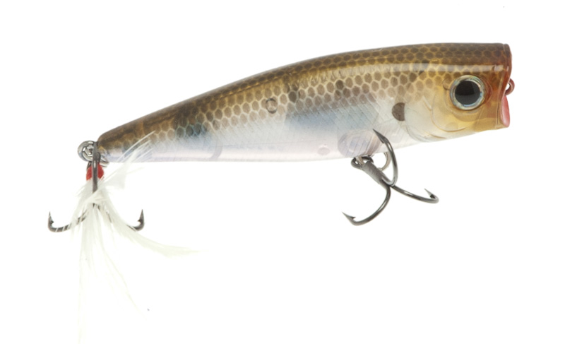 Artificiale Lucky Craft S8 Popper col. Ghost Minnow Artificiale Lucky Craft S8 Popper col. Ghost Minnow