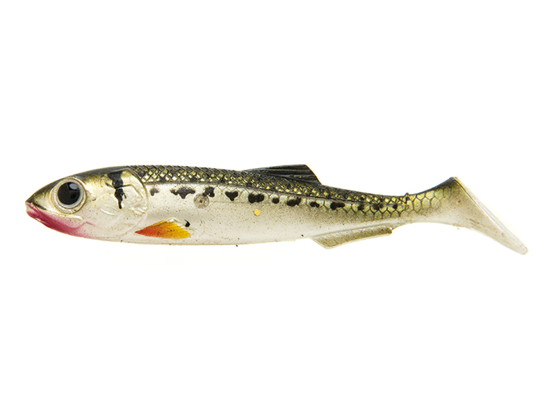 Artificiale Molix Real Thing Shad 3.5” col. Vairone Artificiale Molix Real Thing Shad 3.5” col. Vairone
