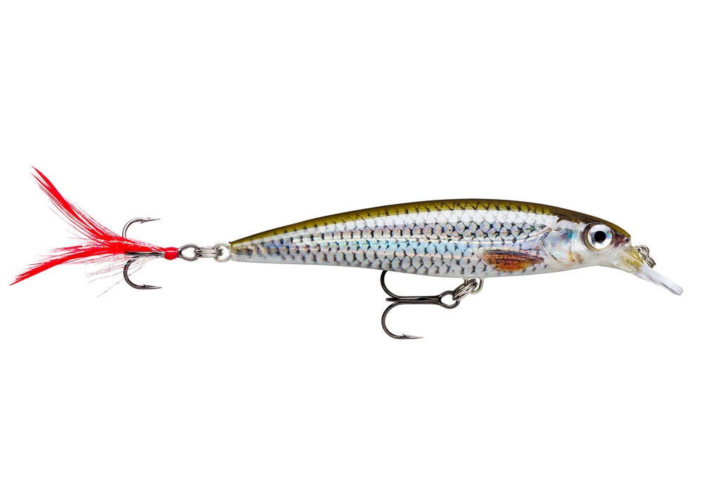 Jerkbait Rapala X-Rap 6 cm col. Live Roach – XR06ROL Jerkbait Rapala X-Rap 6 cm col. Live Roach – XR06ROL