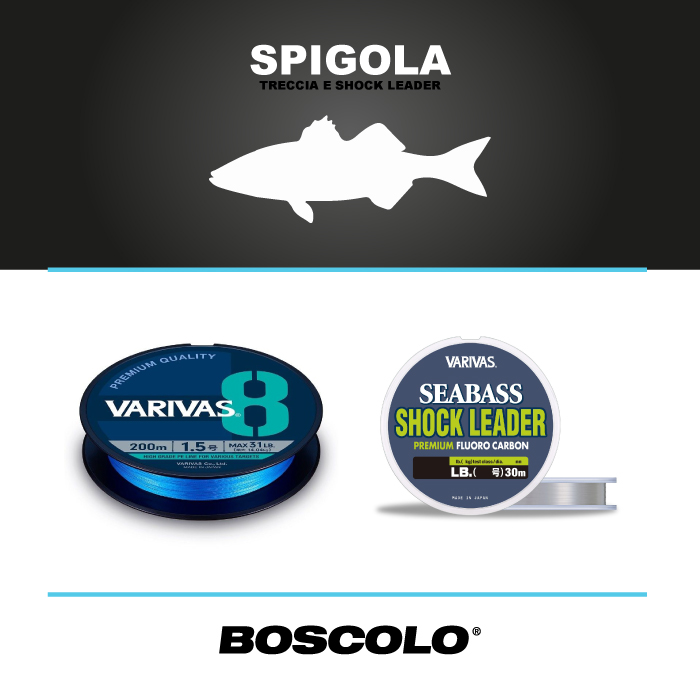 Box Filo Spigola Boscolo Sport Treccia e Fluorocarbon Leader