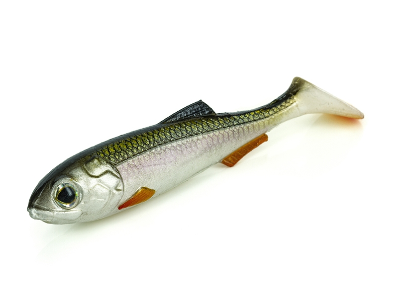 Artificiale Molix Real Things Shad 4,5” col. 173 Gardon