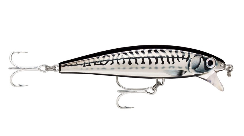 Jerkbait Rapala X-Rap Magnum Cast 10 XRMAGCA10-HDCHM