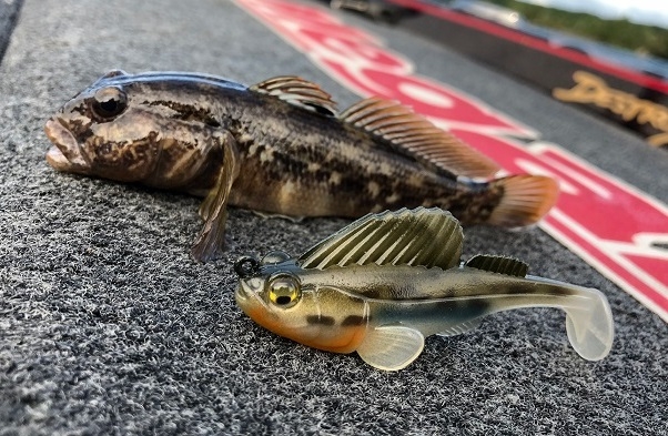 Shad Megabass Dark Sleeper 3.8” 1oz