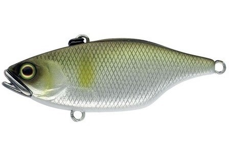 Lipless Crankbait Jackall TN70 Silent col. Ayu