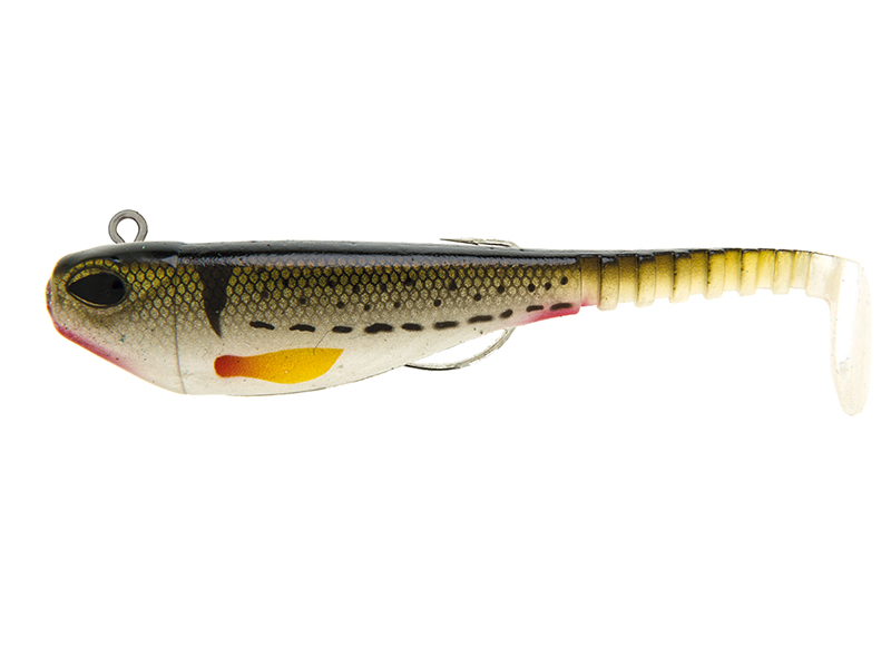 SS Shad 5” 1/4 oz 7 gr col. 50 Vairone (3 bodies+ 1weight + 1