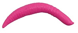 Worm Berkley GULP Pinched Crawler 1 Inch col. Bubblegum (Floats)