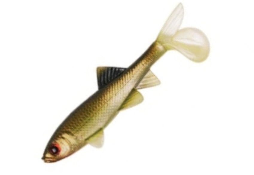 Shad Berkley PowerBait Sick Fish 4" Col. Green Penny Shad Berkley PowerBait Sick Fish 4" Col. Green Penny