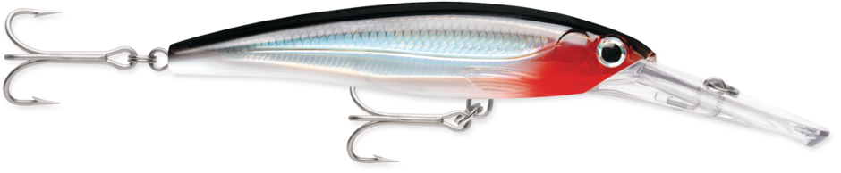 Minnow Rapala X-Rap Magnum 15