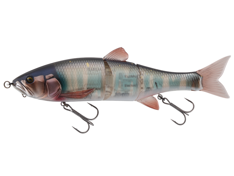 Swimbait Jackall Dowzswimmer 180 SF Col. Maruhata Delicious Swimmer