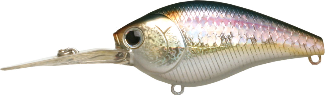 Deep Crankbait Lucky Craft Flat CB DR col. Ms American Shad