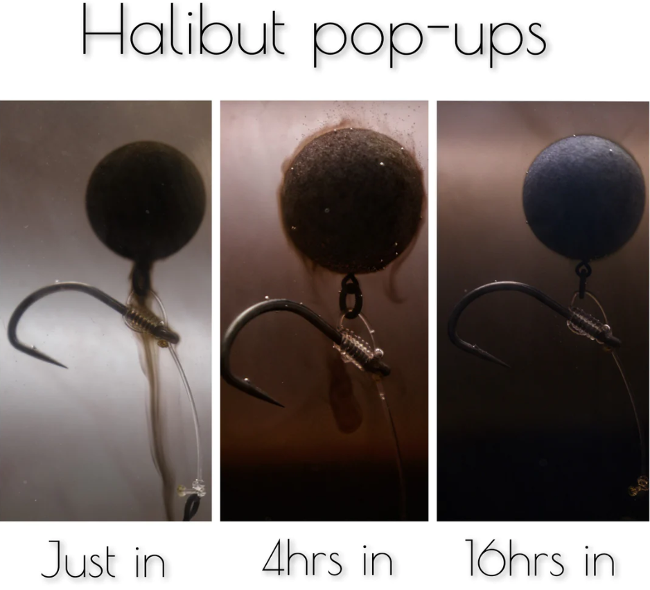 Boilies Pop Up Forgotten Flavours Halibut 14/15 mm