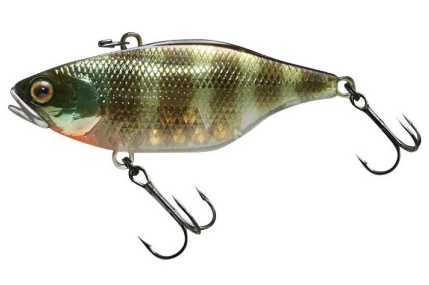 Lipless Crankbait Jackall TN70 Silent