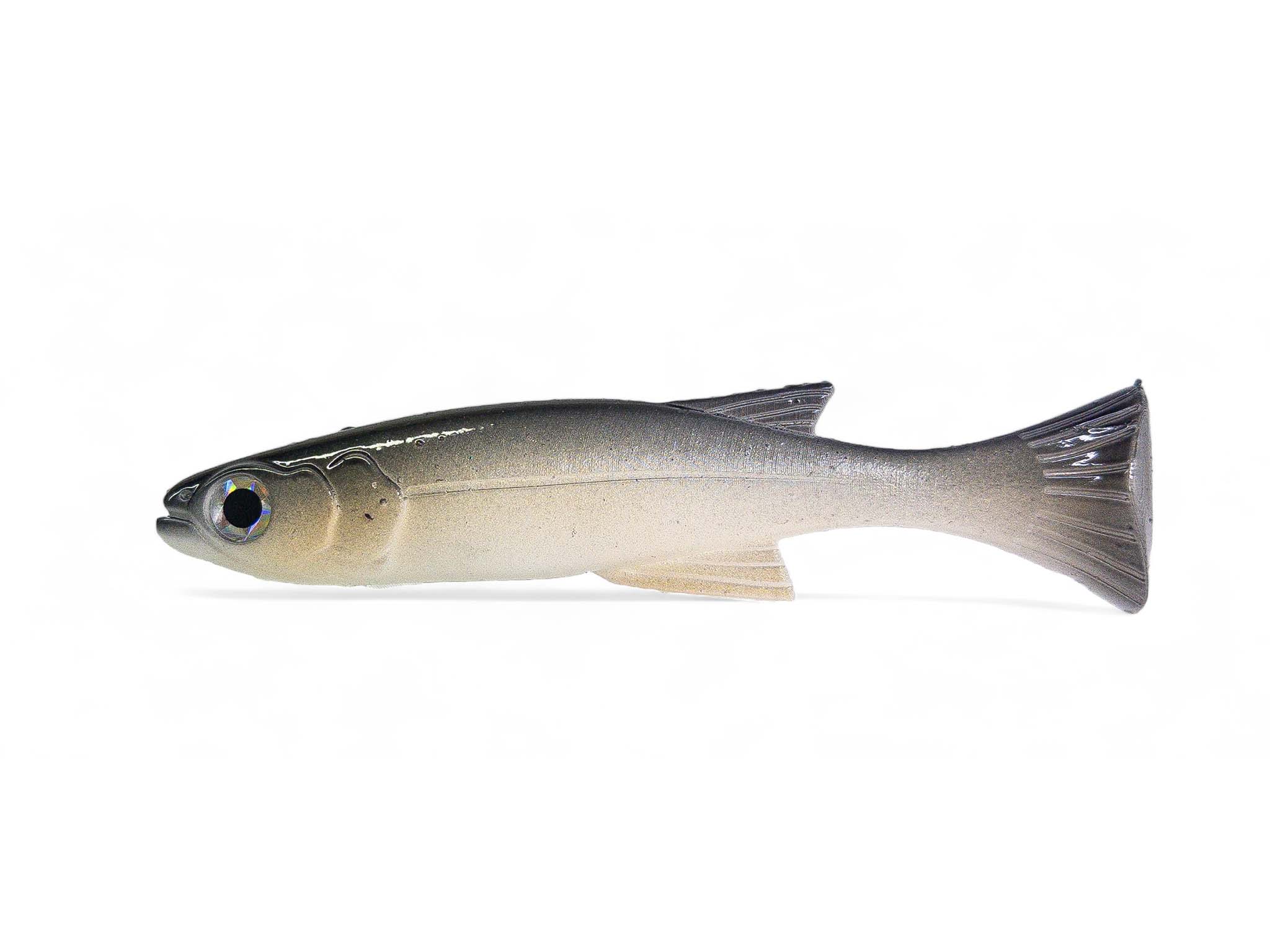 Soft Swimbait Veeu Burno Verotail 15 cm col. 28 Real White Baitfish Soft Swimbait Veeu Burno Verotail 15 cm col. 28 Real White Baitfish