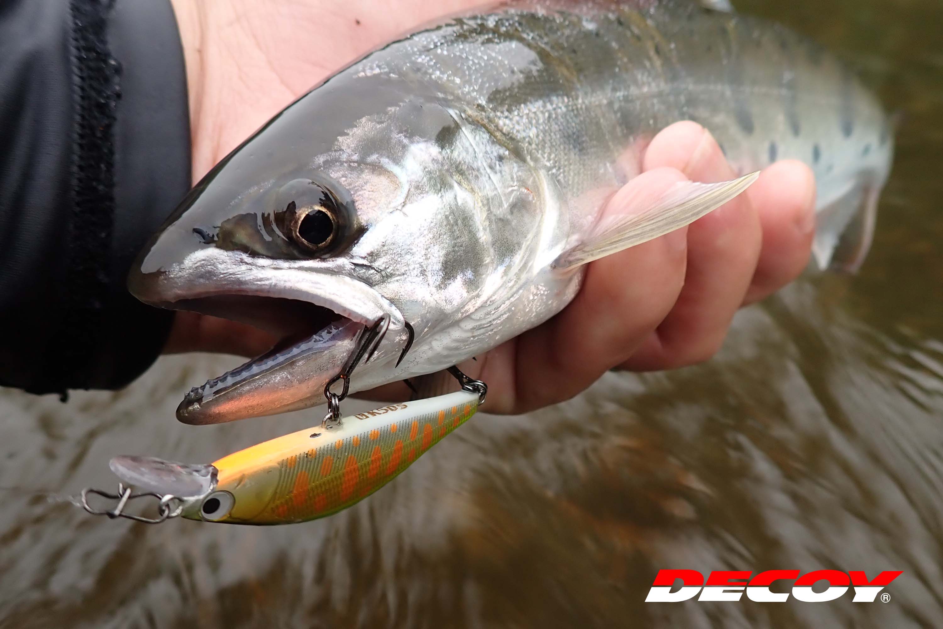 Ancorette Decoy Y-F33B Treble