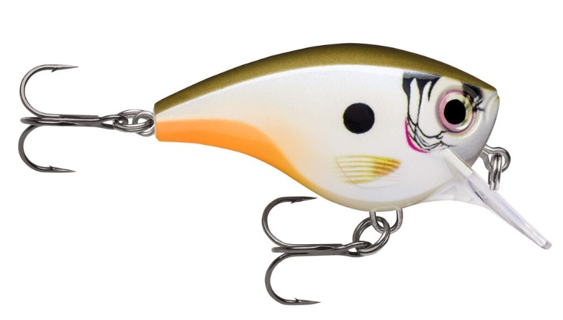 Crankbait Rapala BX Brat Big BXBB06-CUP