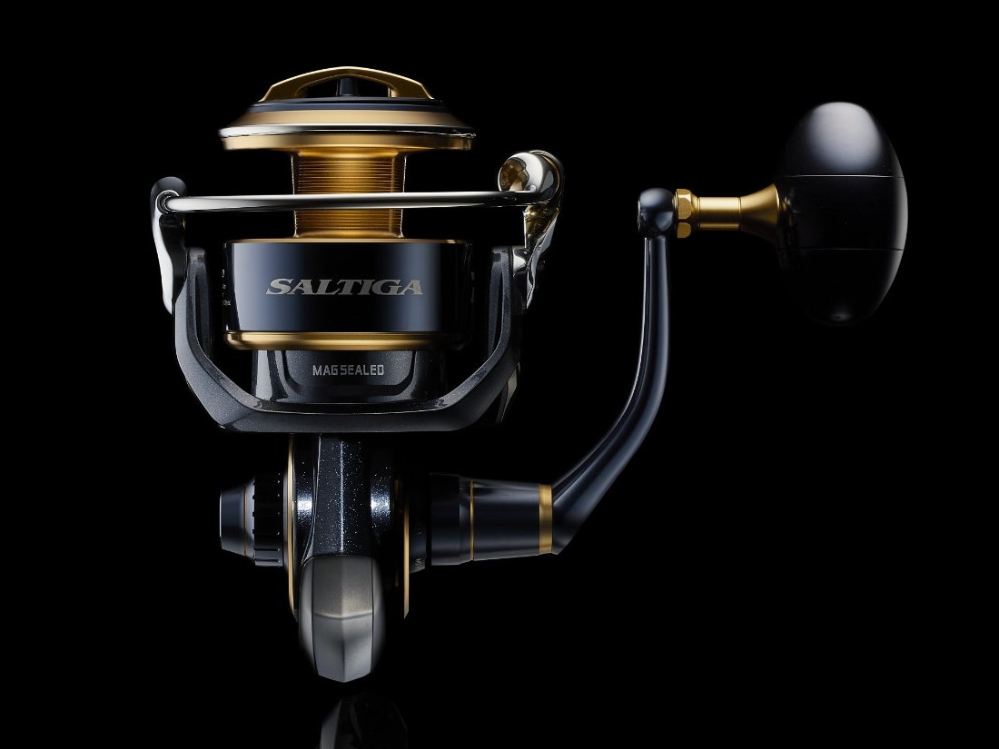 Mulinello Daiwa Saltiga G