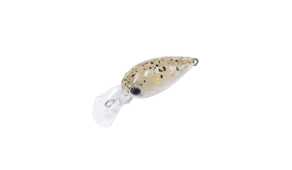 Crankbait Area Daysprout Pico Chattecra DR-SS col. PC-05 Tea Gelato