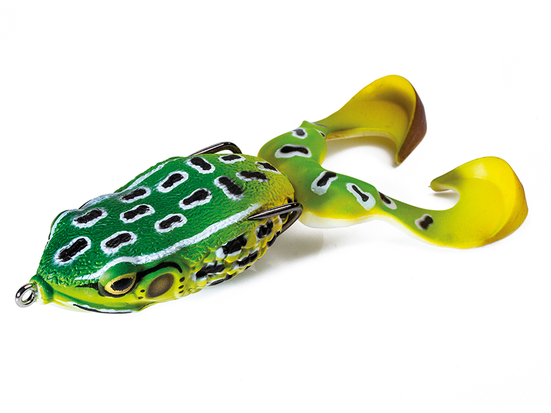 Rana Molix Supernato Frog R Baby col. 72 Leopard Frog