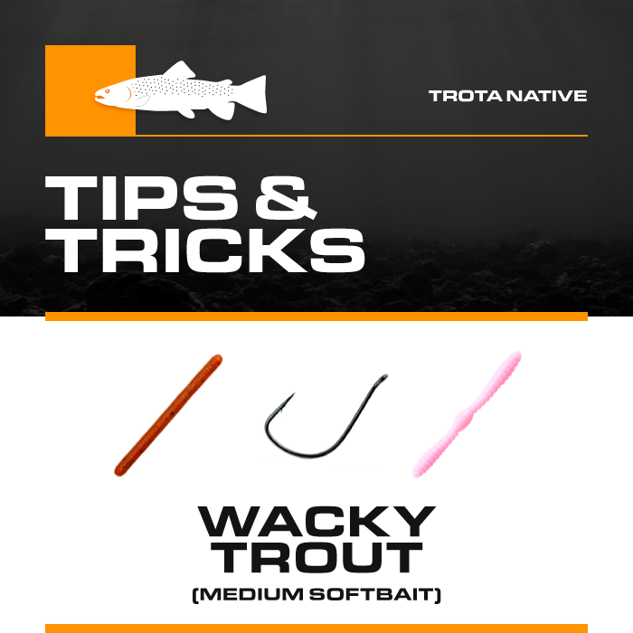 Box Boscolo Sport "Tips & Tricks"  Wacky Trout (Medium Softbait)