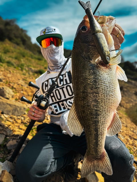 Swimbait Veeu Burno 160 Glide