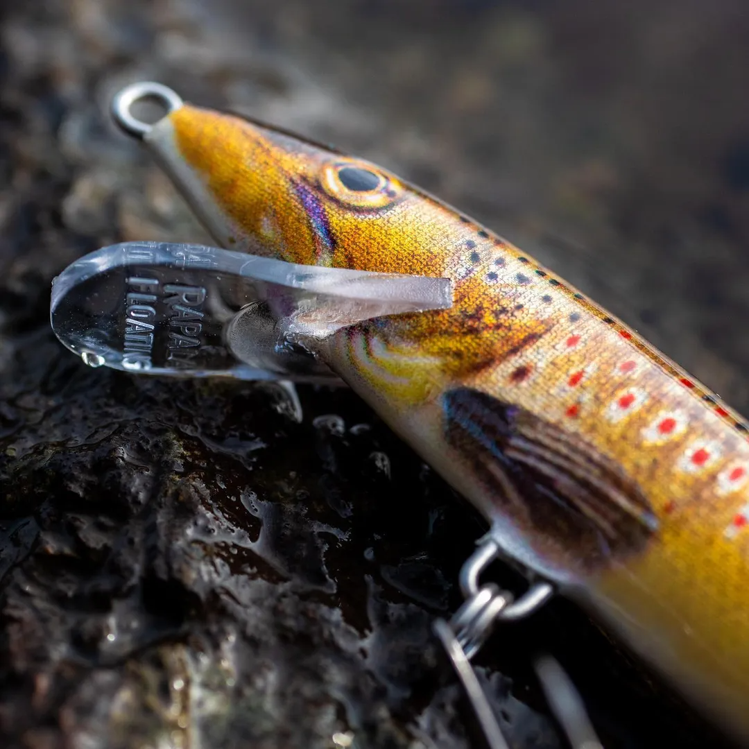 Minnow Rapala Original Floater 9 cm 