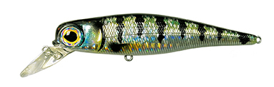 Super Jerk Minnow 100 col. Sarago col. 167