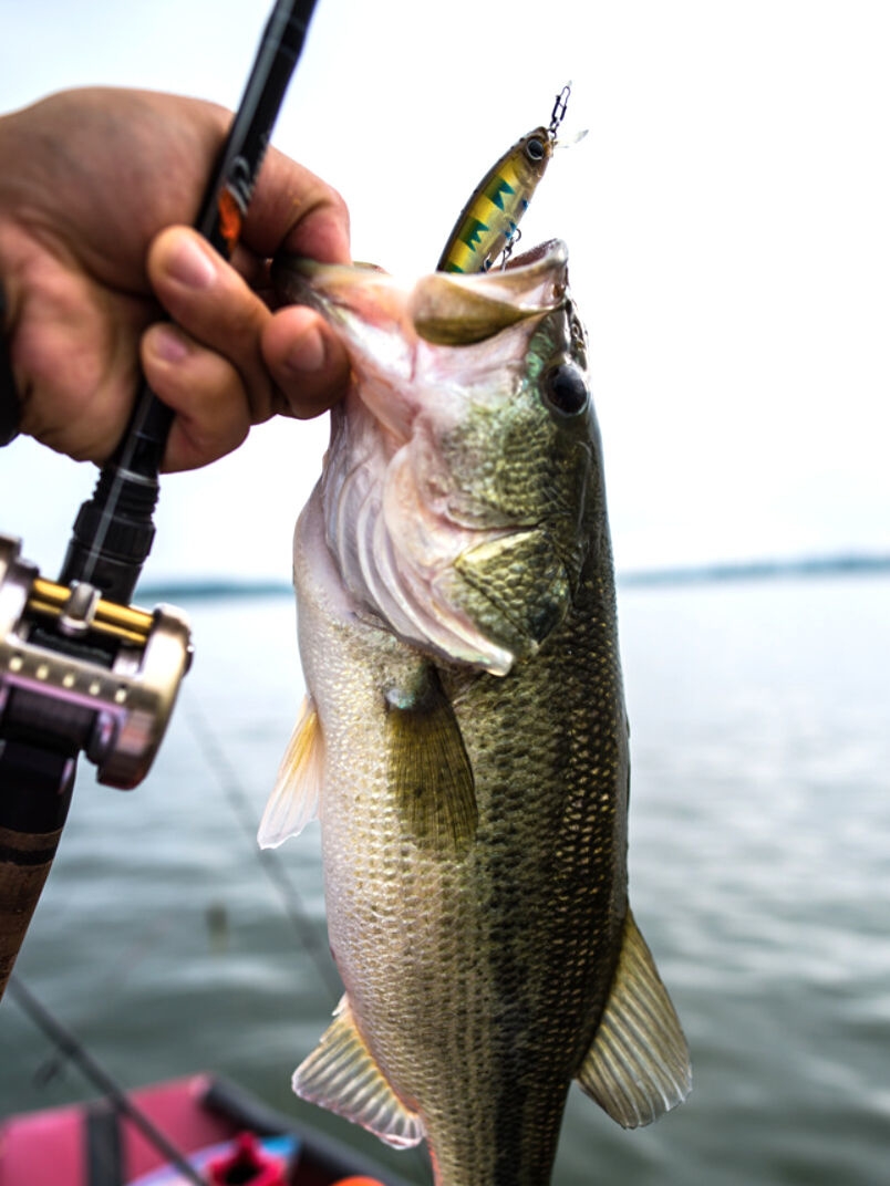 Jerkbait Damiki Striker 90 SP