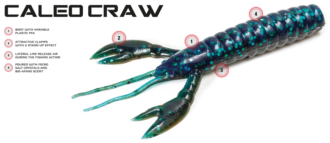 Molix Caleo Craw 4"