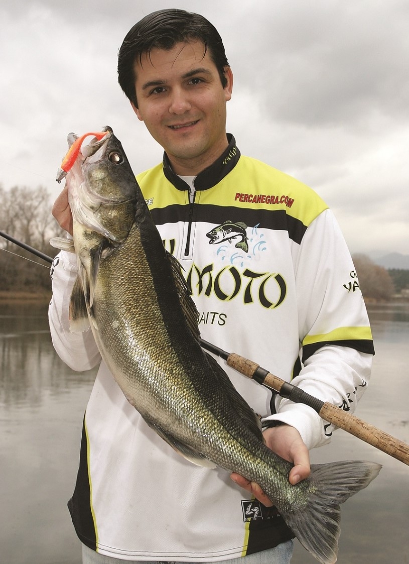 Soft Shad Gary Yamamoto Swimbait 5"