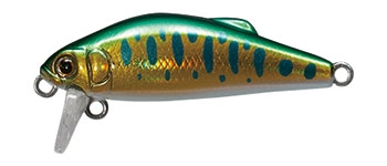 Minnow Tackle House Buffet FS38 38mm 2,4gr F col. 117 Gold Gr Yamame Minnow Tackle House Buffet FS38 38mm 2,4gr F col. 117 Gold Gr Yamame