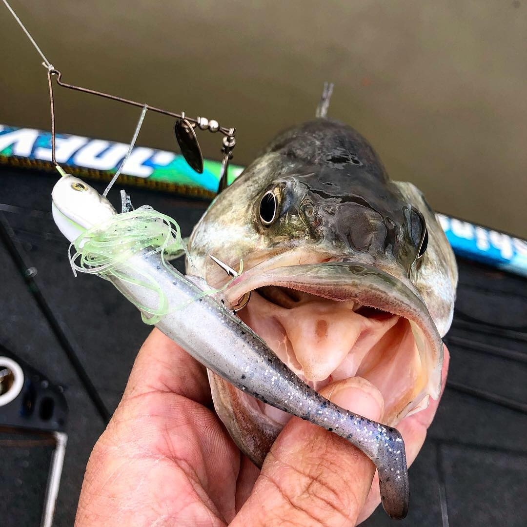 Wirebaits Z-Man Slingbladez Spinnerbait WC 3/4 oz