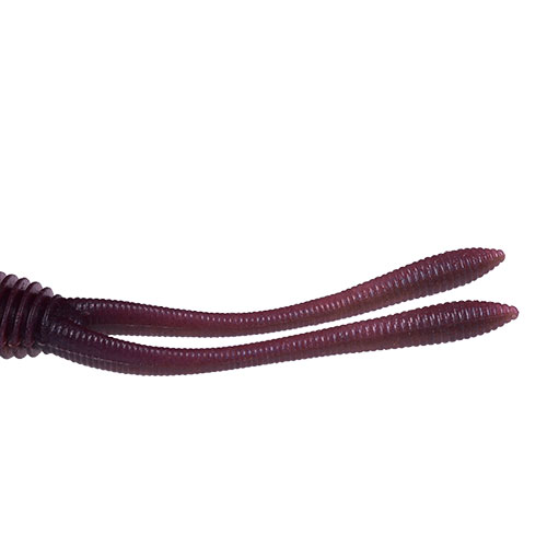 Worm Sunny Bros Drug Whip 3.8"