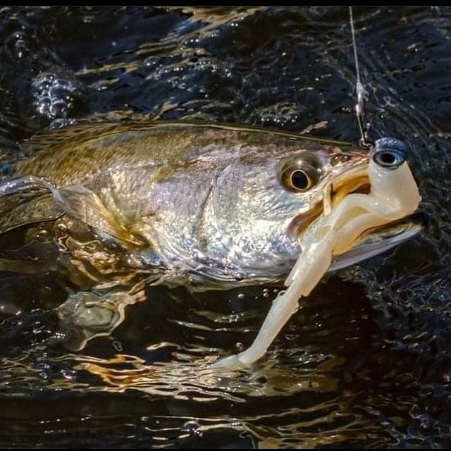 Swimming Shad Z-Man Scented Paddlerz 4"