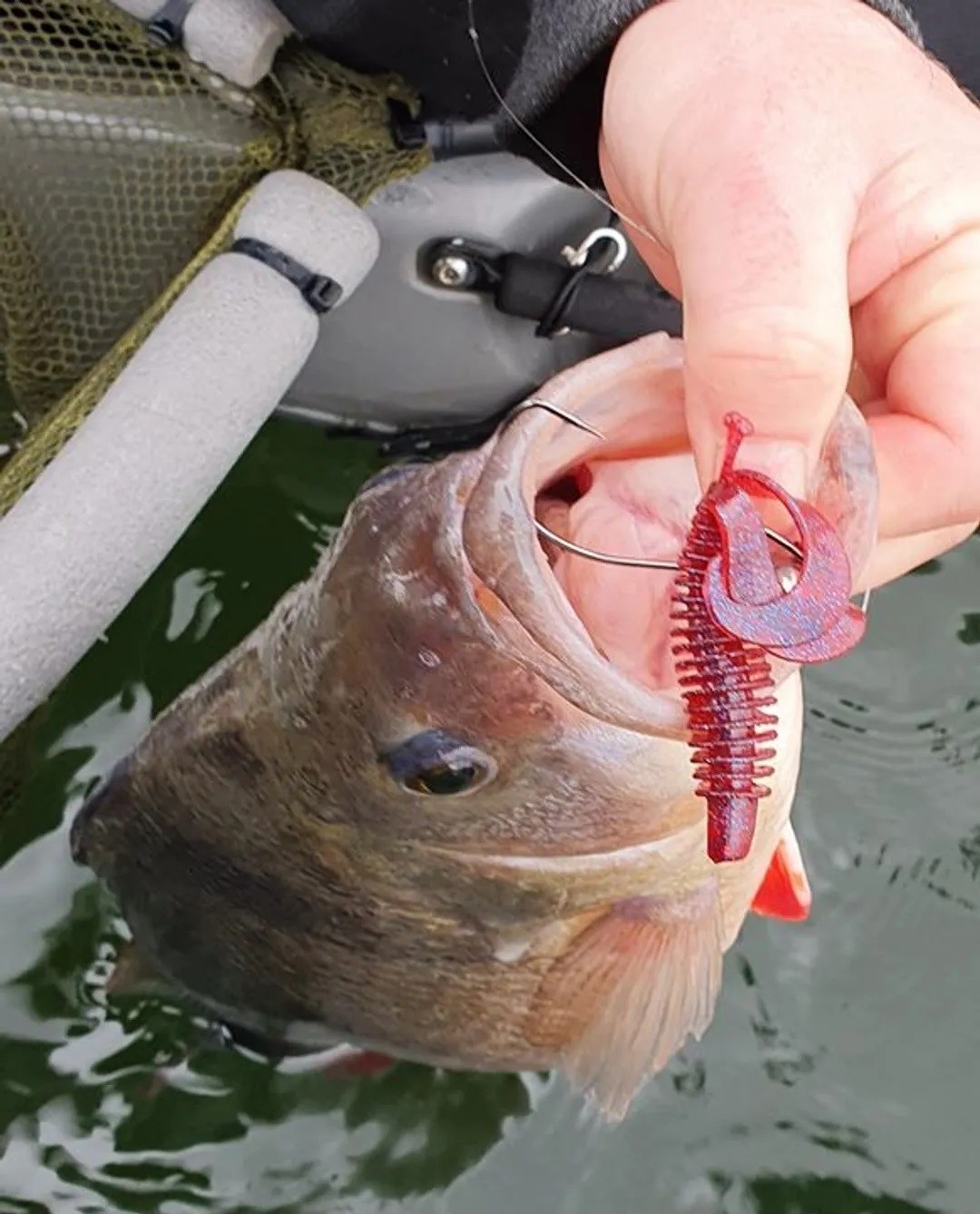 Gambero Westin RingCraw Curltail 9cm