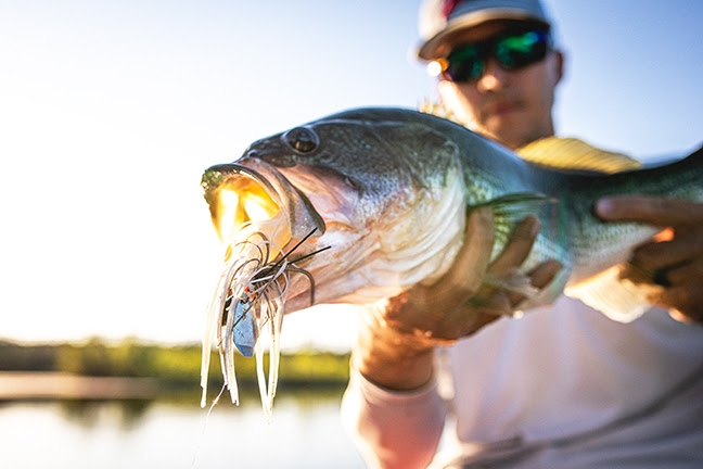 Wirebaits Z-Man Crosseyez Chatterbait 3/8 oz