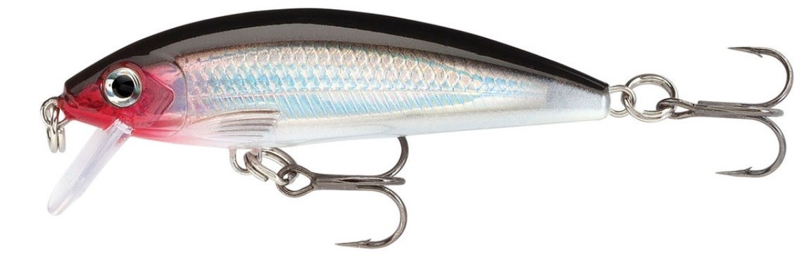 Minnow Rapala X-Rap Countdown 5 cm