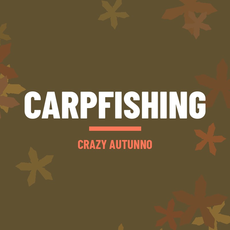 Prezzo più basso sul web > Carpfishing