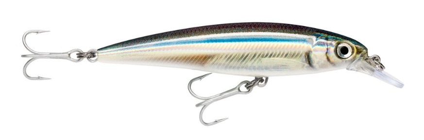 Jerkbait Rapala X-Rap Saltwater 10 cm col. Anchovy – SXR10ANC Jerkbait Rapala X-Rap Saltwater 10 cm col. Anchovy – SXR10ANC
