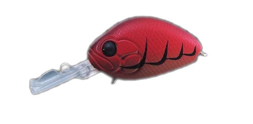 Shallow Crankbait Evergreen Crazy Cradle