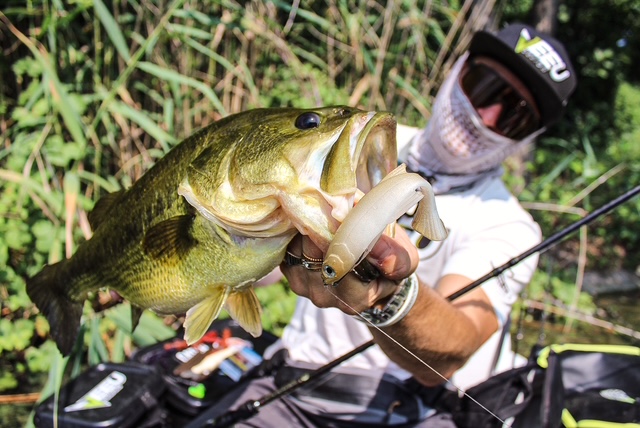 Soft Swimbait Veeu Snack Burno 12 cm
