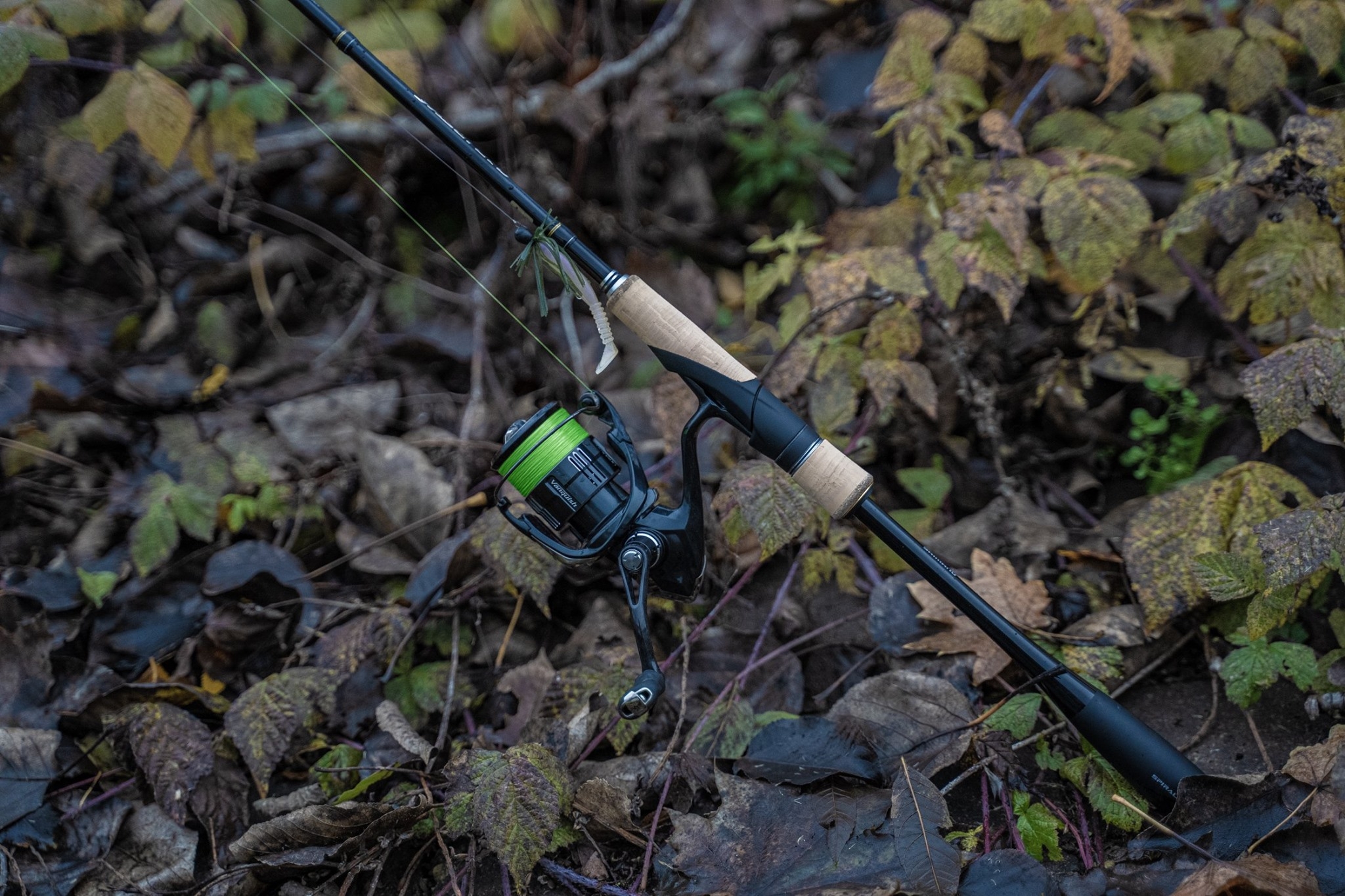 Canna Shimano Yasei LTD Perch Finesse Softbait