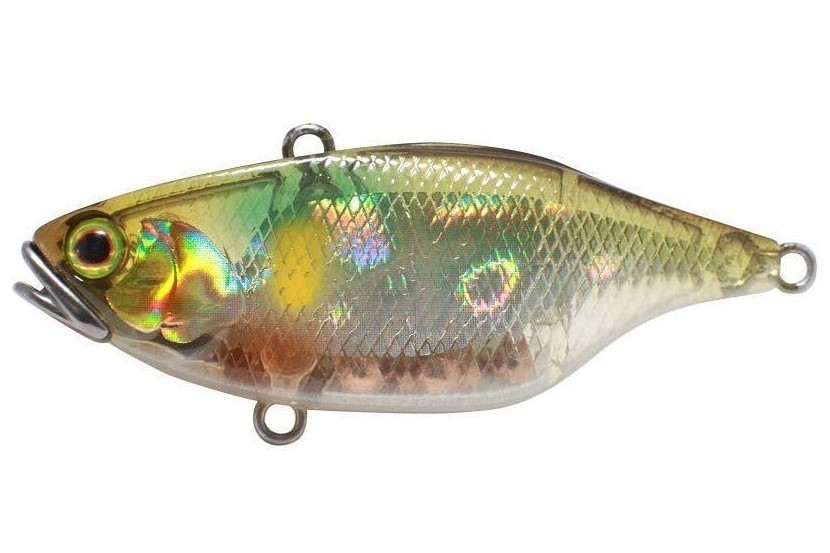 Lipless Crankbait Jackall TN70 Silent col. Nf Ayu