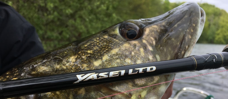 Canna Shimano Yasei LTD Pike Crank & Spinnerbait