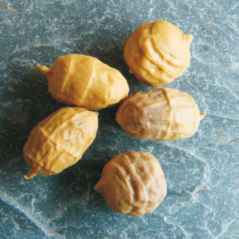 Sinking Tiger Nuts