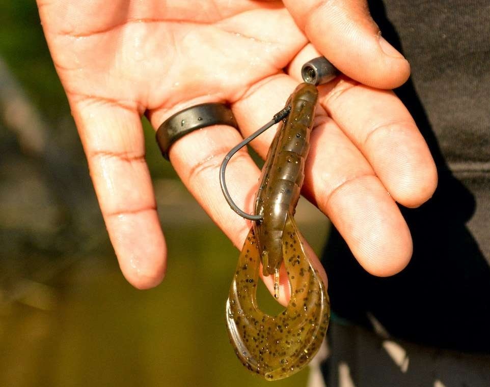 Gambero Z-Man Hella Crawz 3.75"
