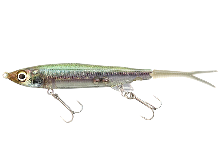 Minnow Jackall Nagisa 65 SP col. Rt Uroko HL Wakasagi